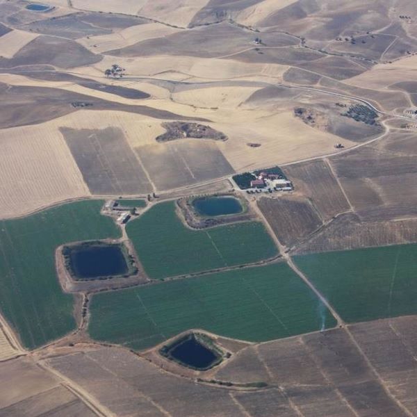 Medição de terreno (Rural e Urbano) Topografia em Piraquara